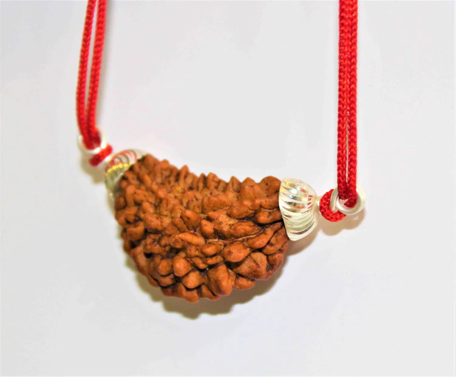 Natural 1 Face/Mukhi Rudraksha