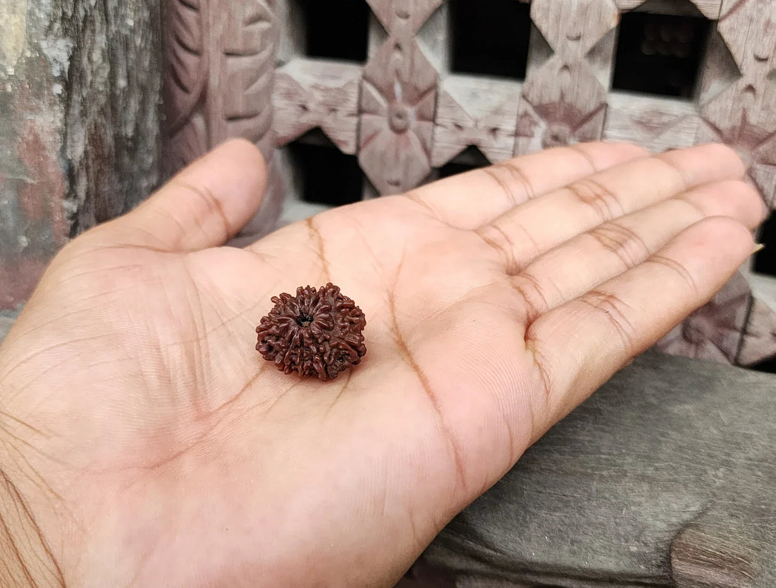 Original 9 Mukhi Rudraksha Beads, Authentic Premium Quality Nine Face Ma Durga Rudraksha from Nepal, Sacred Ketu And Goddess Durga Rudraksha