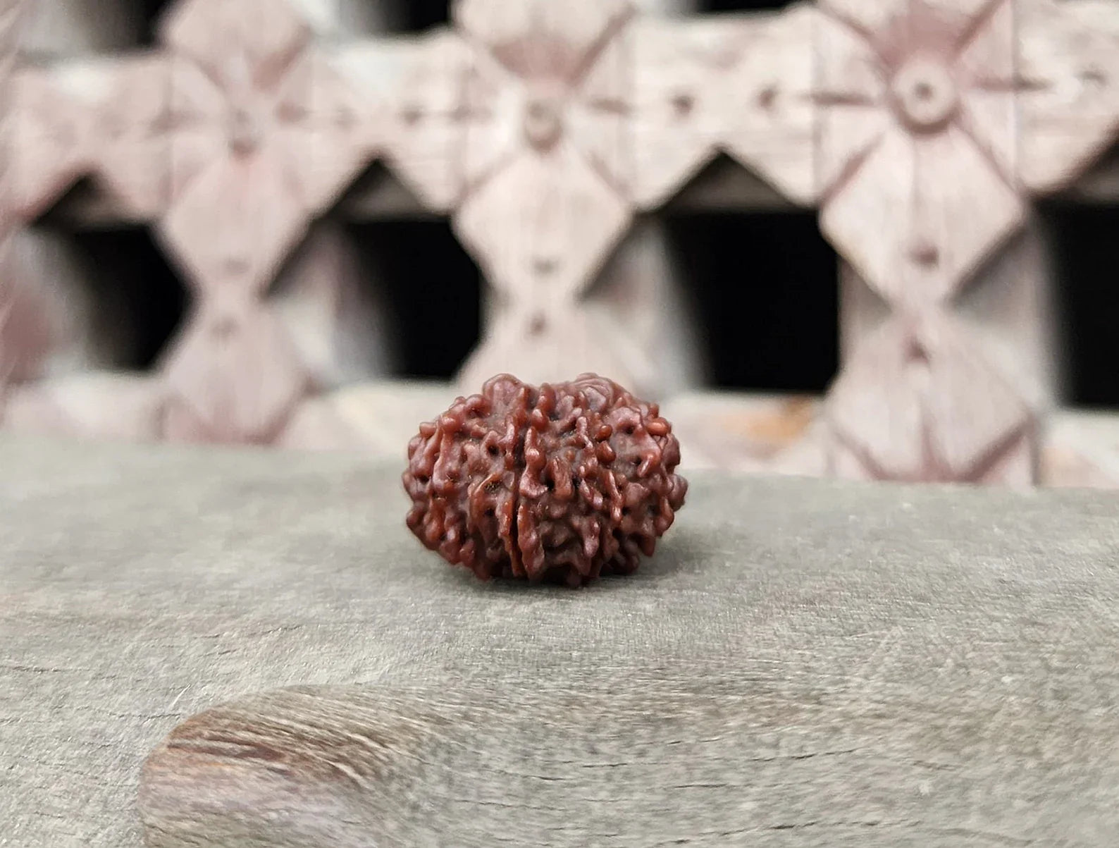 Original 9 Mukhi Rudraksha Beads, Authentic Premium Quality Nine Face Ma Durga Rudraksha from Nepal, Sacred Ketu And Goddess Durga Rudraksha