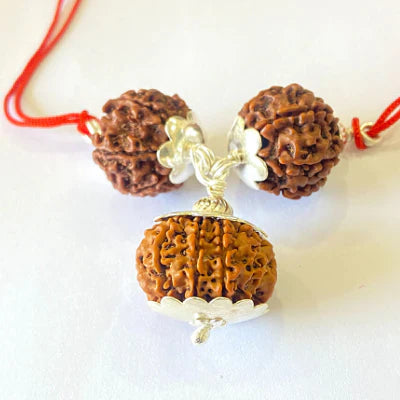 7,8 & 13 Mukhi Rudraksha Combination For (sales executives/brokers/ traders)