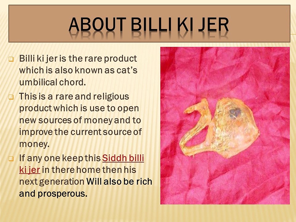 Billi ki Jer / Billi ki Naal – Bring Luck and Protection to Your Life